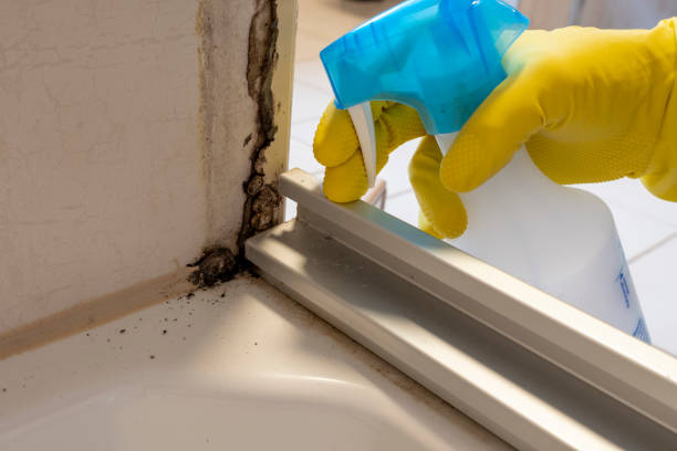 Best Emergency Mold Removal  in Lliams Bay, WI