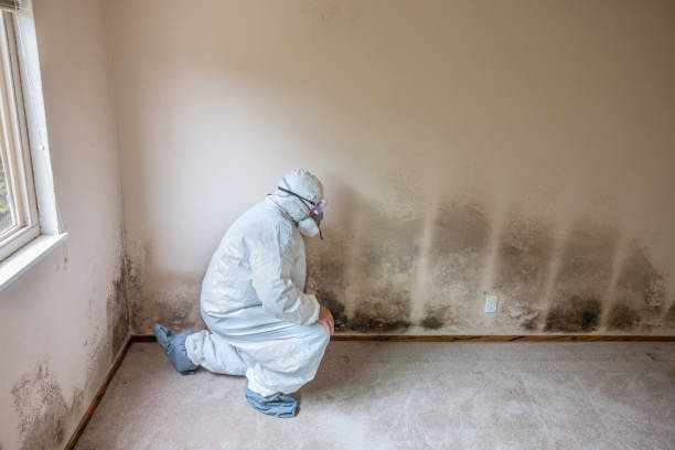 Best Professional Mold Removal  in Lliams Bay, WI